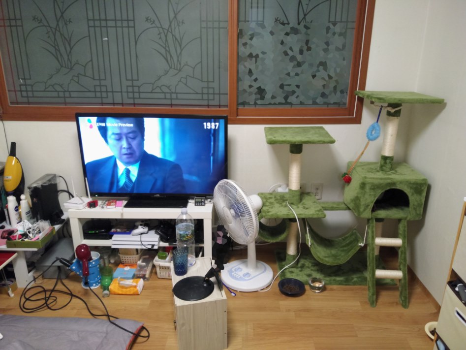 아직 어리숙한 30대의 방_3.jpg