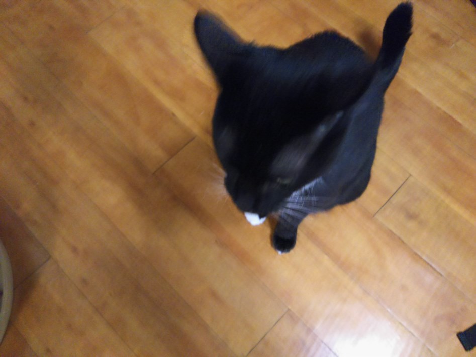 아직 어리숙한 30대의 방_8.jpg