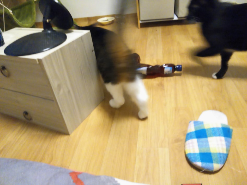 아직 어리숙한 30대의 방_9.jpg