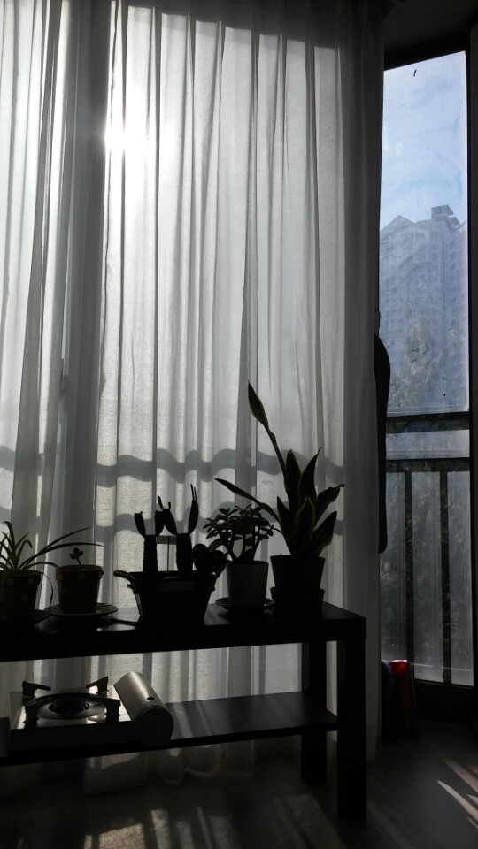 거실 확장 공사 한 집인데요_1.jpg