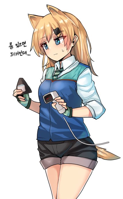 [소녀전선]체념한 IDW 만화_1.jpg