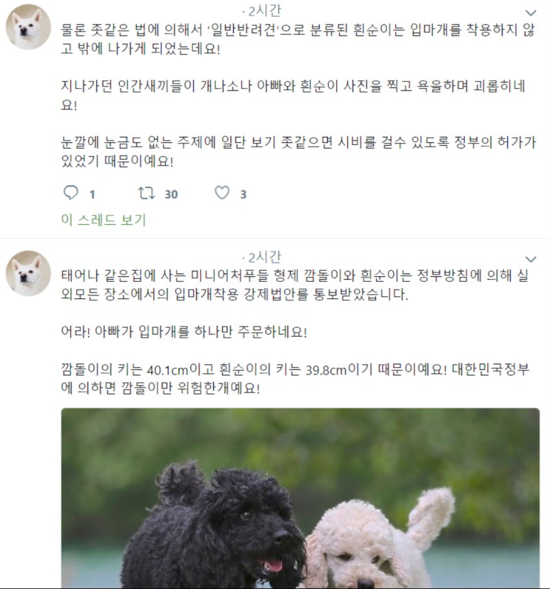 개빠11.png