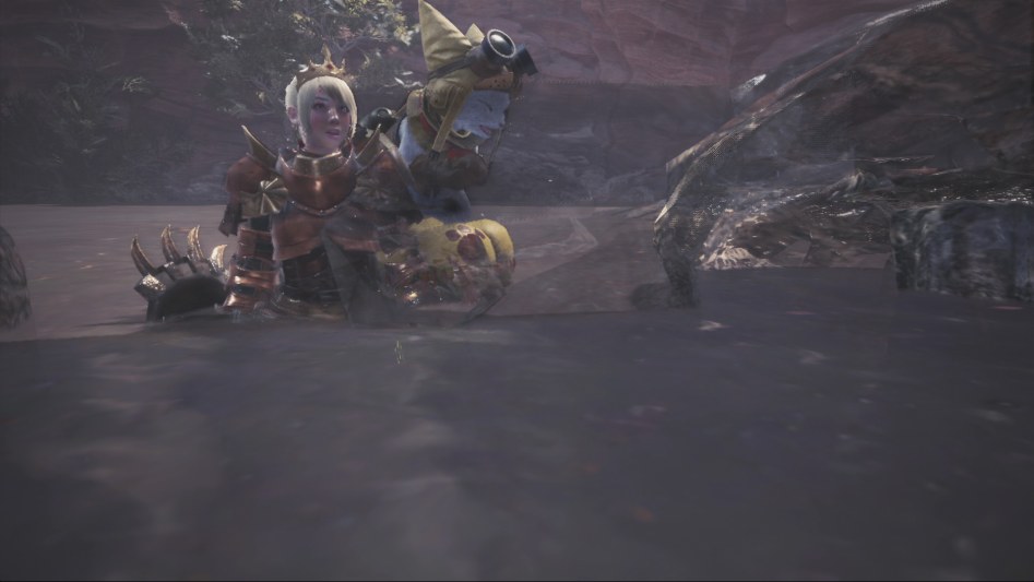 mhw_012.jpg