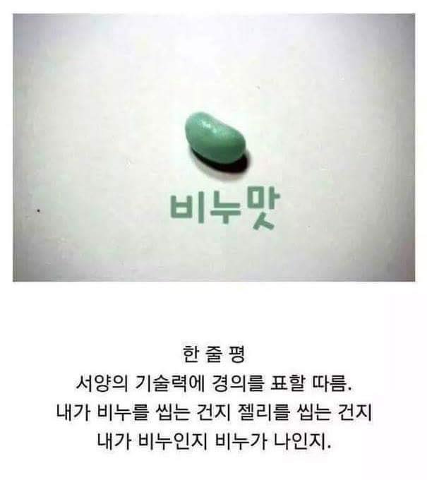 해리포터 온갖 맛이 나는 젤리 리뷰_4.jpg