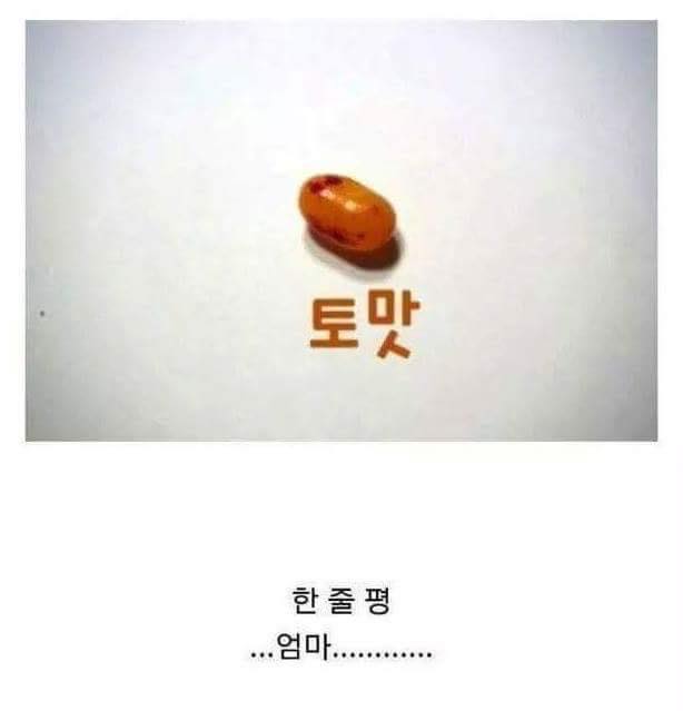 해리포터 온갖 맛이 나는 젤리 리뷰_8.jpg