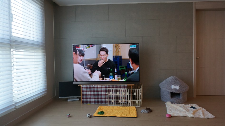 서른중반,, 시바와 같이사는 아재집_48.jpg