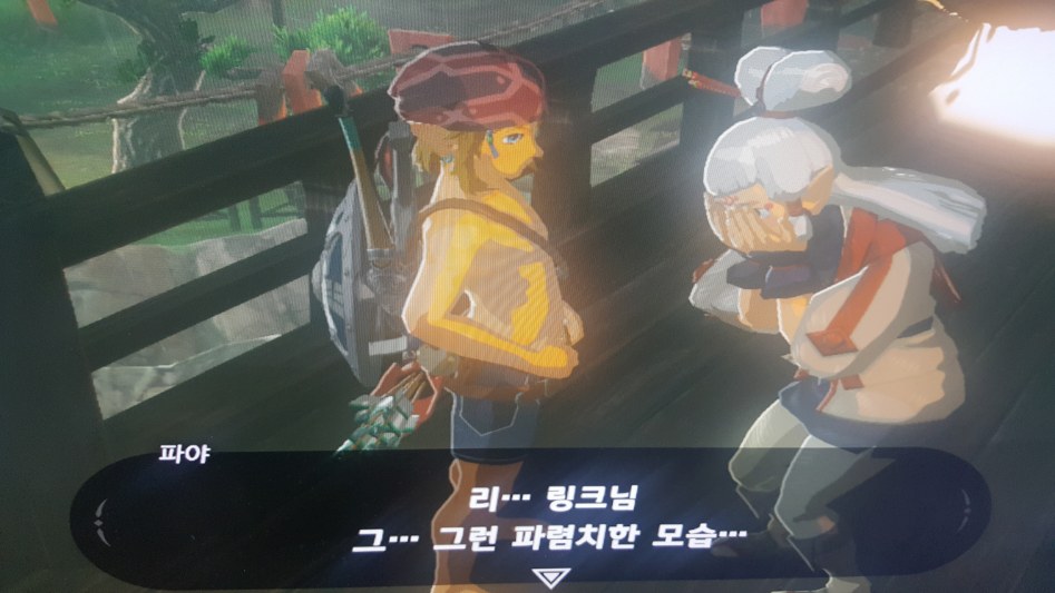 파야에게 진정한 나를 보여 주고 싶어서 보여 줬더니ㅋ 젤다의 전설 브레스 오브 더 와일드 젤다의 전설 시리즈 공략 게시판 루리웹