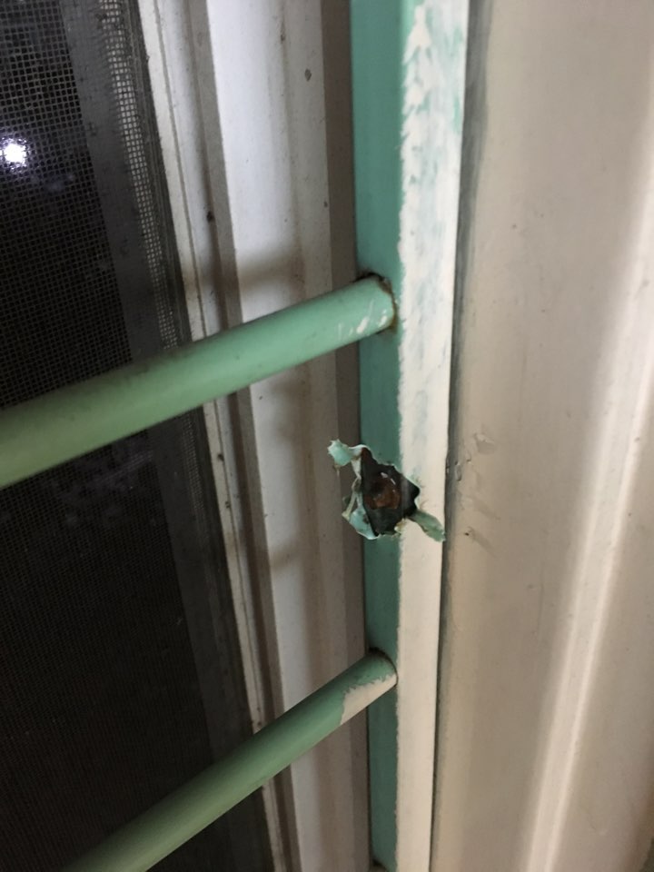 28살 남자 자취못해서 방꾸미기(스압)_5.jpg