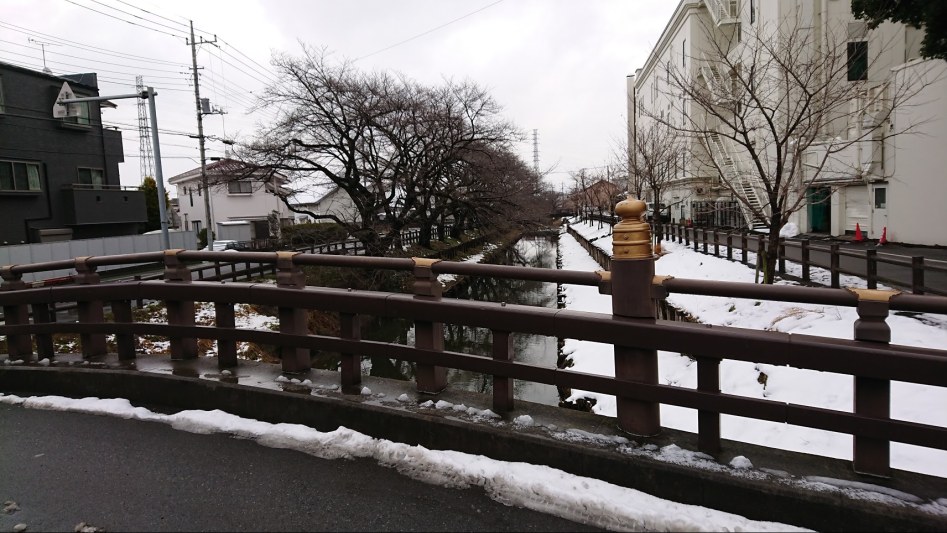 2월 2일 도쿄 여행 둘째날 - 카와고에 "달이 아름답다" 성지순례_6.jpg