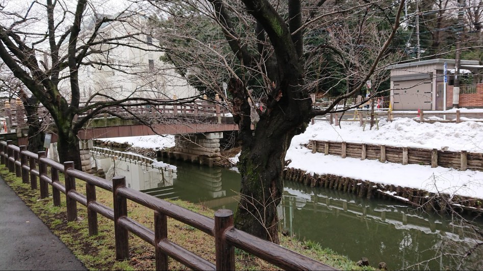 2월 2일 도쿄 여행 둘째날 - 카와고에 "달이 아름답다" 성지순례_7.jpg