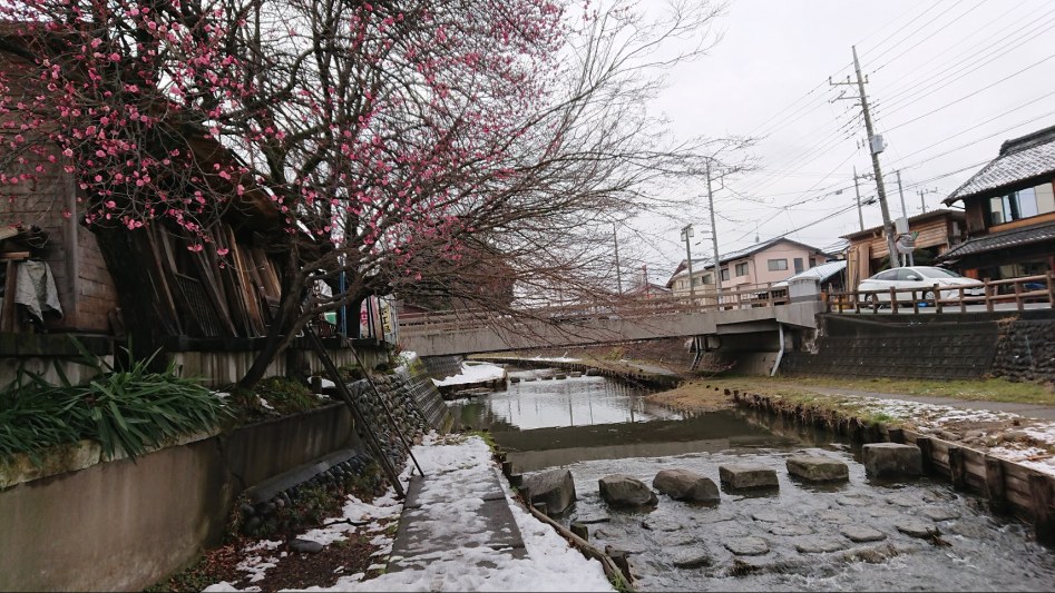 2월 2일 도쿄 여행 둘째날 - 카와고에 "달이 아름답다" 성지순례_13.jpg