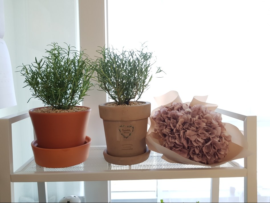 아내와 함께 준비한 사무실_27.jpg