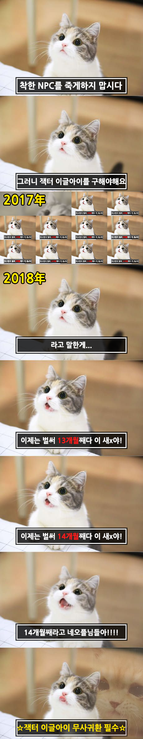 고통의14개월.png