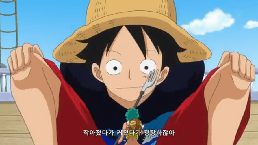 [원피스]작은 거인 릴리!_57.jpg