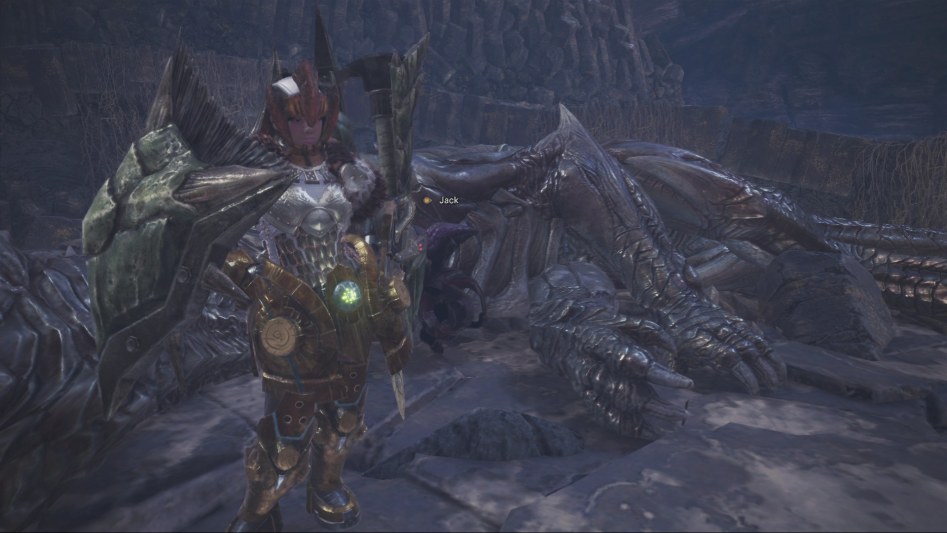 mhw_224.jpg