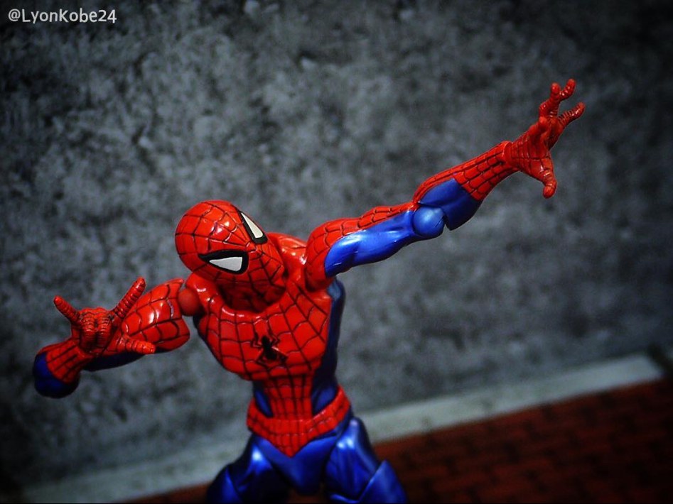 Spidey02.jpg