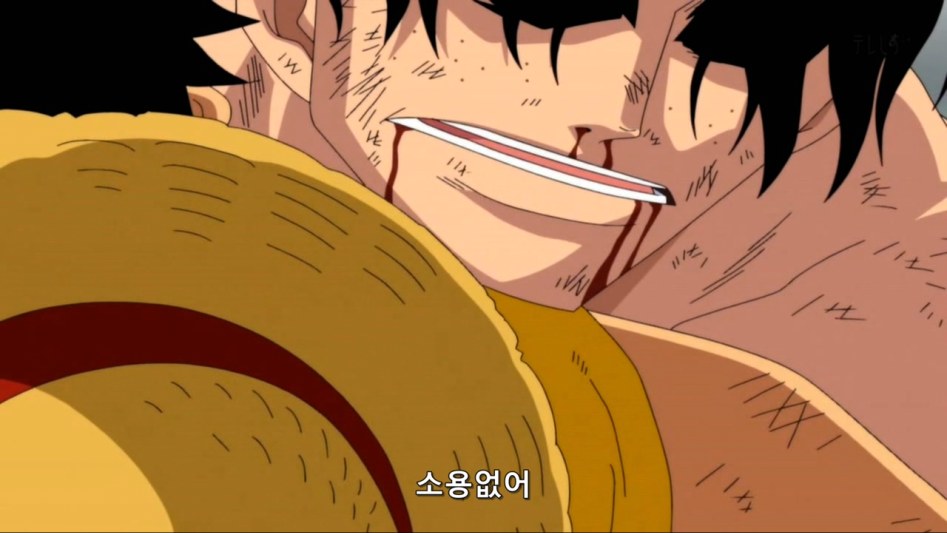 [원피스]이런 나를 사랑해줘서 고마워_13.jpg