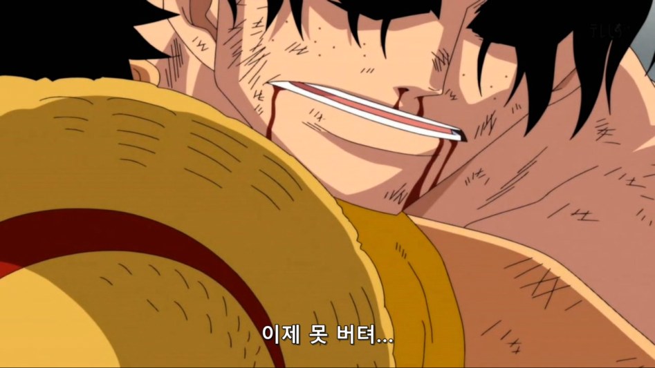 [원피스]이런 나를 사랑해줘서 고마워_15.jpg