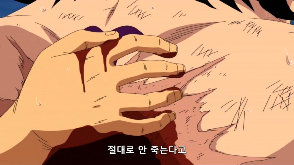 [원피스]이런 나를 사랑해줘서 고마워_18.jpg