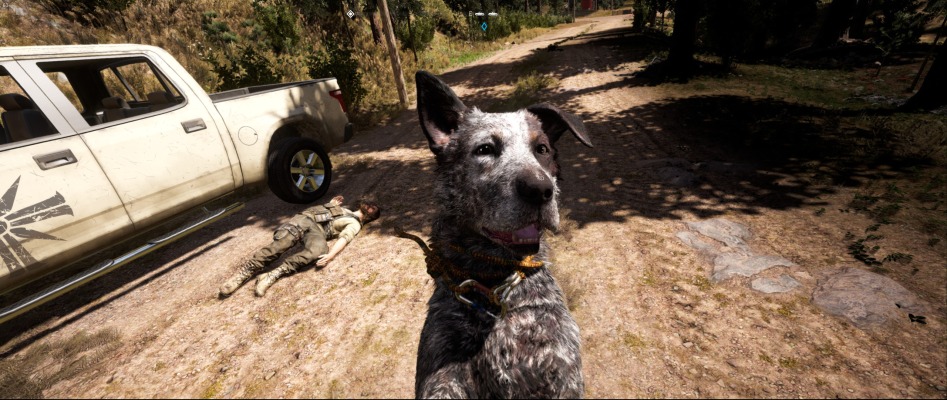 Far Cry 52018-3-27-23-48-43.jpg