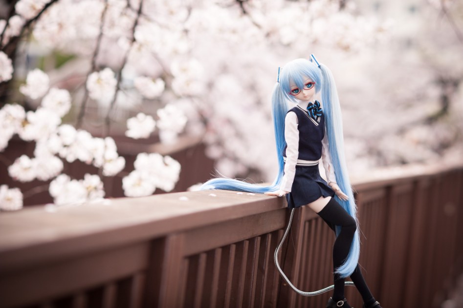 벚꽃이다... 커플이다...(칫)_8.jpg