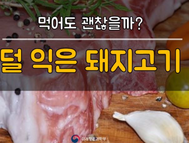 돼지고기 덜 익혀먹어도 괜찮다.jpg | 유머 게시판 | 루리웹