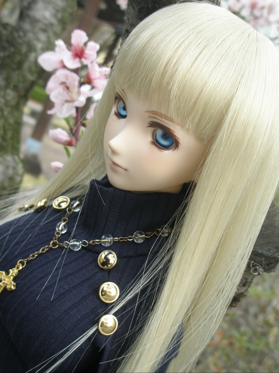 바람속에서의 벚꽃 출사_4.jpg