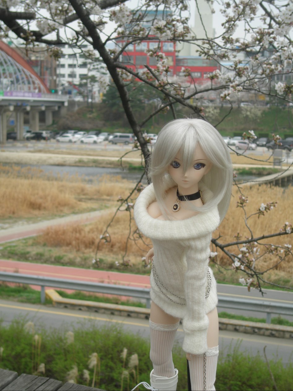 (스압주의)벚꽃 아래서의 아리사...._6.jpg