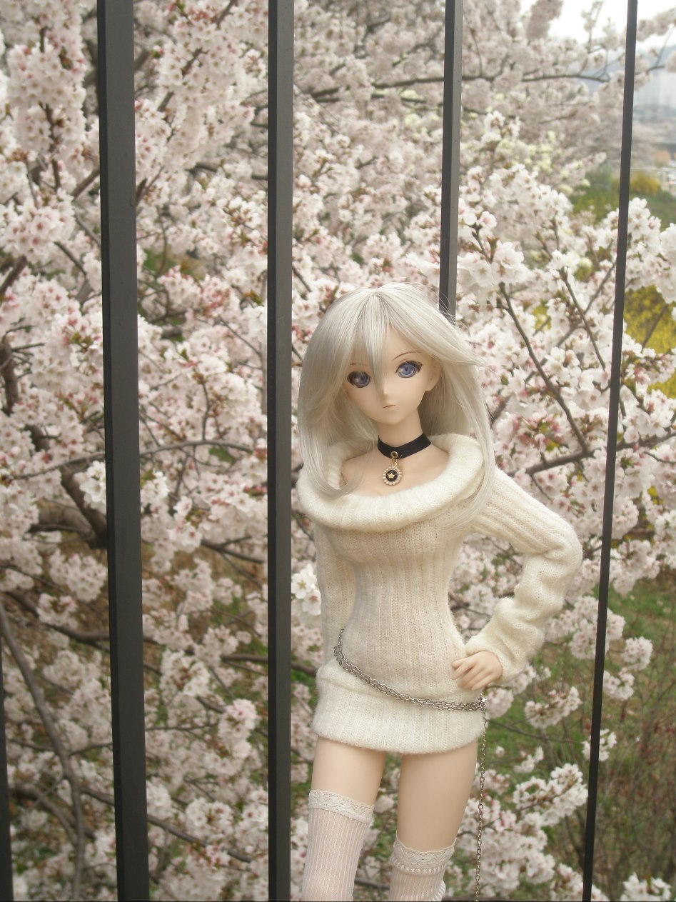 (스압주의)벚꽃 아래서의 아리사...._10.jpg