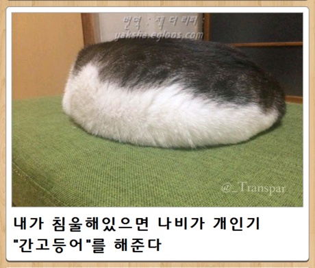 침울_간고등어.jpg