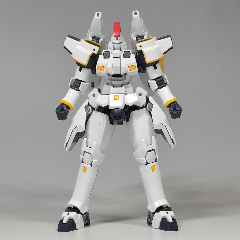 RG 톨기스 EW 해외 리뷰 2_4.jpg