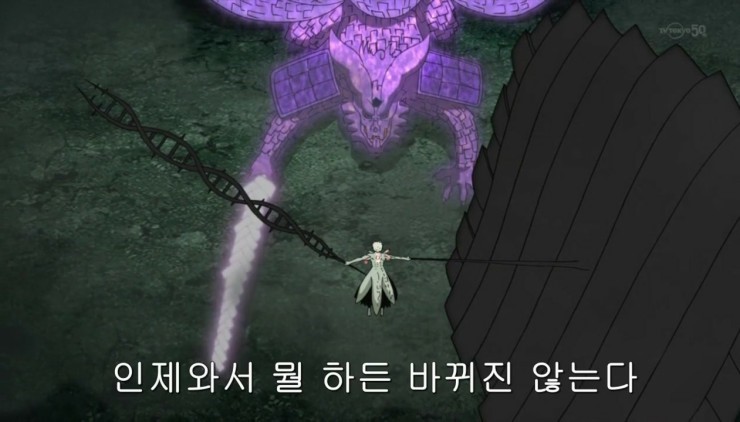 [에반게리온&나루토] 공통점이 많은 인류보완계획&달의 눈 계획 및 등장인물들_19.jpg