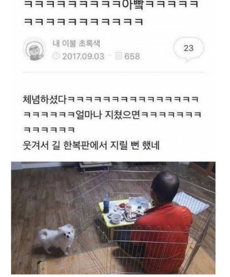 멍뭉이에 너무 지친 아버지 .jpg.jpg