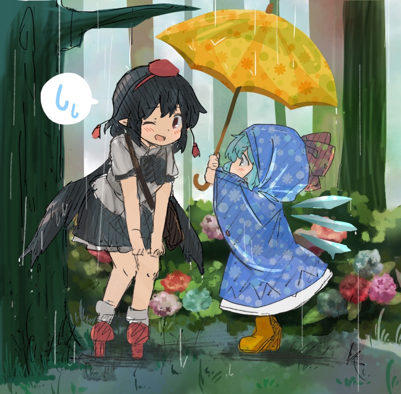 __cirno_and_shameimaru_aya_touhou_drawn_by_kototoki__0571121fa69bd1c55e63ebf6d38eb615.jpg