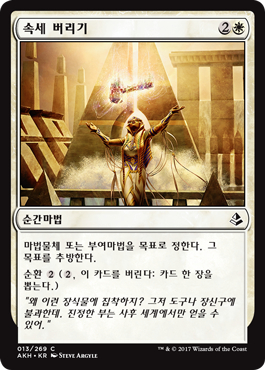 스탠다드 덱 소개 에스퍼 컨트롤_30.jpg