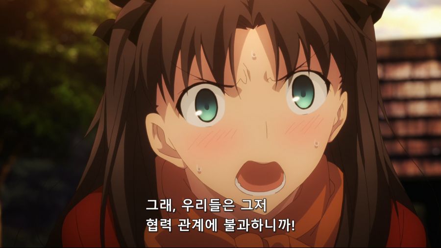 [Salender-Raws] Fate stay night (Unlimited Blade Works) - 16 [BD 1920x1080 x264 FLAC].mkv_20180713_164505.385.jpg