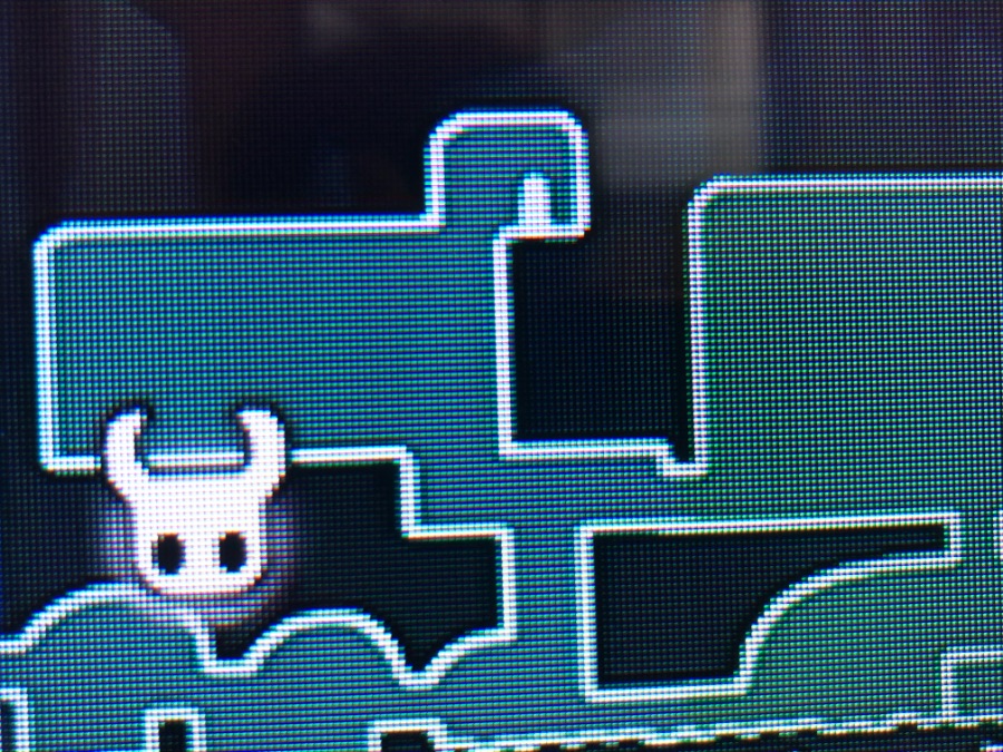 이스마의 숲 근처 애벌래_1.jpeg