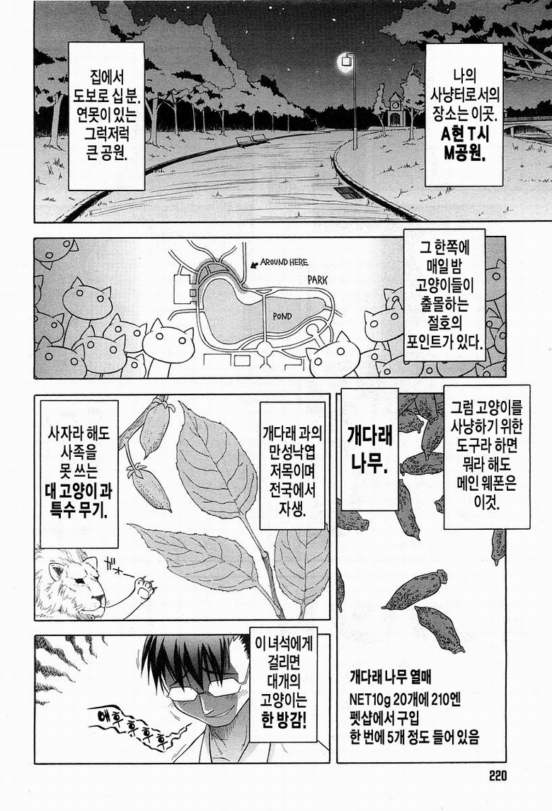 고양이 소녀 만화_2.jpg