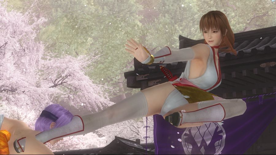 DEAD OR ALIVE 5 Last Round_20180803121409.png