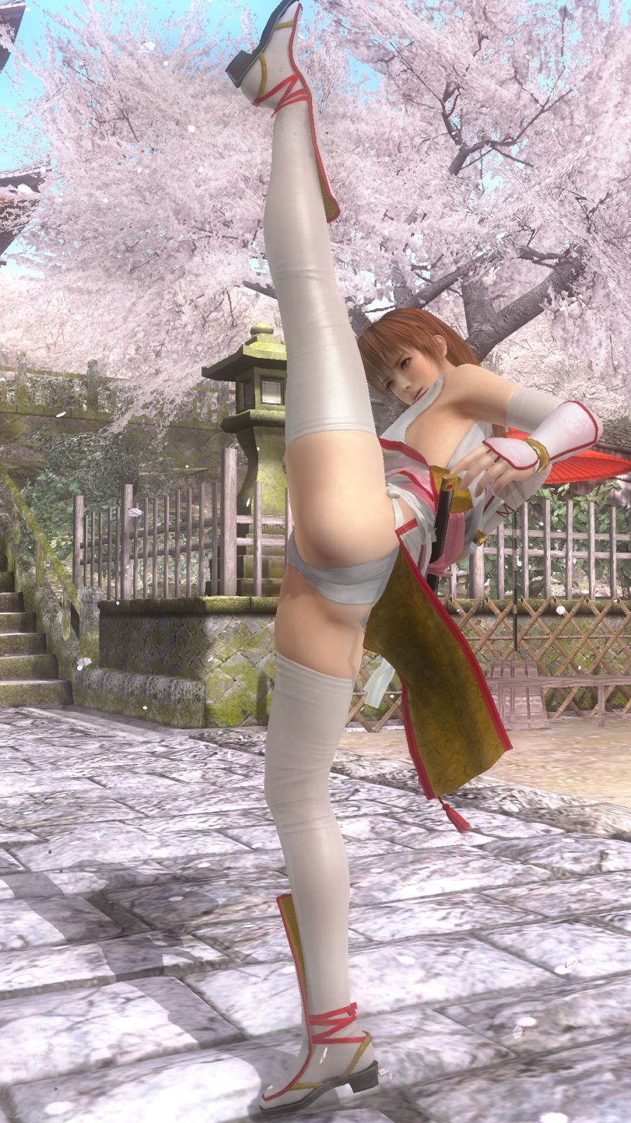 DEAD OR ALIVE 5 Last Round_20180803121327.png