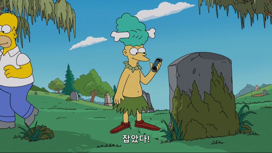(1080p) The.Simpsons.S28E20.mkv_20180802_142637.565.jpg