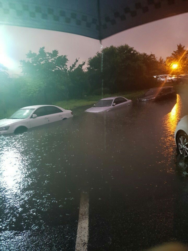 실시간 강릉.jpg_1.jpg