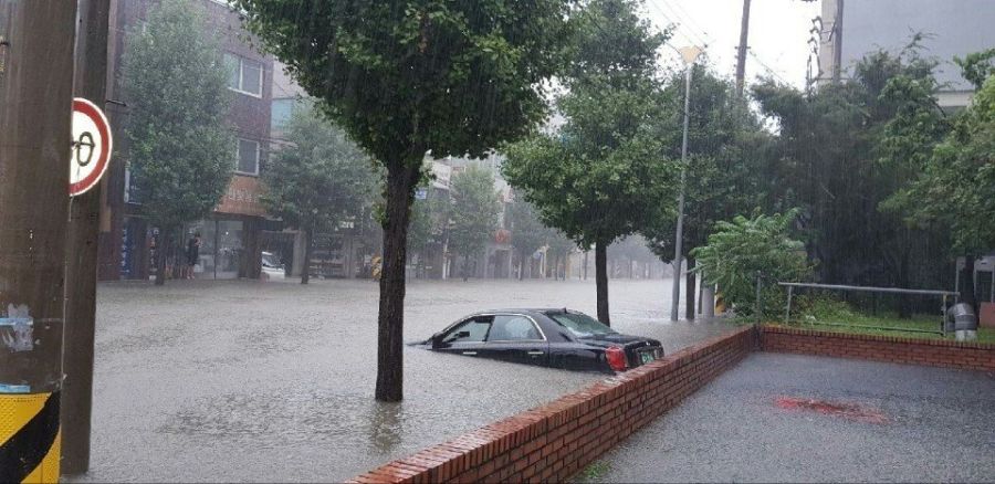 실시간 강릉.jpg_3.jpg