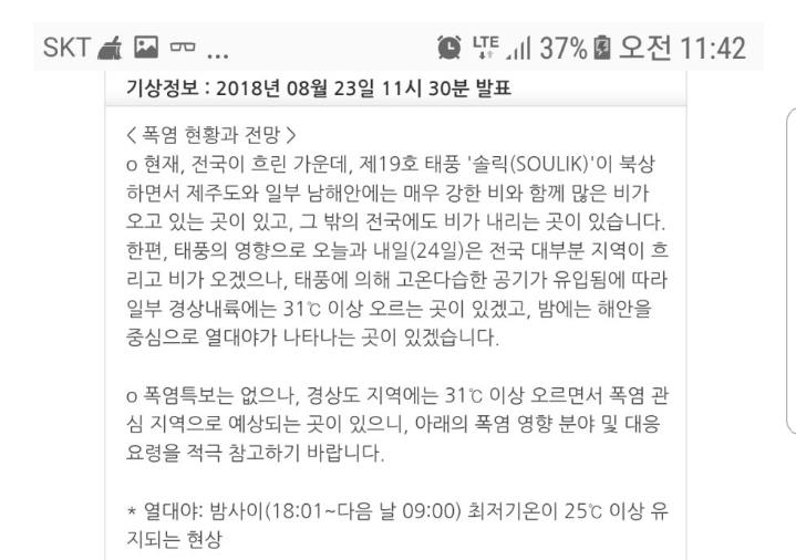 의외로 현실고증.pokemon_1.jpg