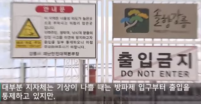 방파제 테트라포드의 위험성.jpg_5.jpg