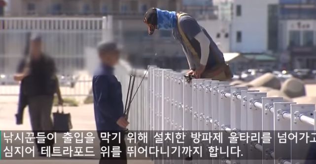 방파제 테트라포드의 위험성.jpg_7.jpg