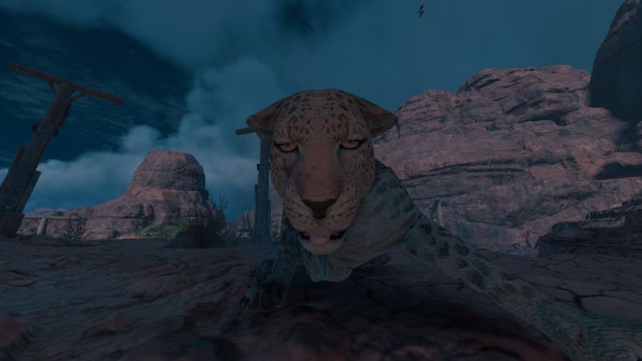 [스압주의] 재밌거나 멋지거나 [오리진 사진전 Vol.1]_6.jpg