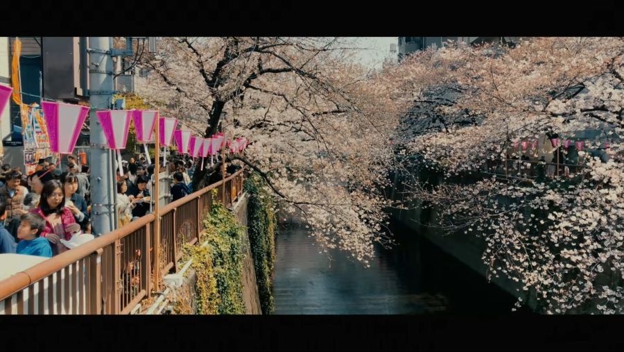 [일본여행] 아이폰 하나면 충분한 도쿄 여행 (Tokyo travel - shot on iphone 7) - YouTube.MKV_20180923_141056.869.jpg
