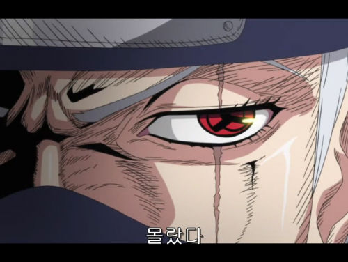 쓰레기 닌자 카카시 시리즈_8.jpg