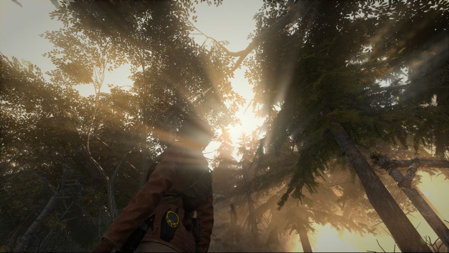 Rise of the Tomb Raider_26.jpg